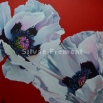 White Oriental PoppyHuile sur Tintoretto20 x 20 cm