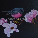 Pink Robin IHuile sur bois10 x 10 cm